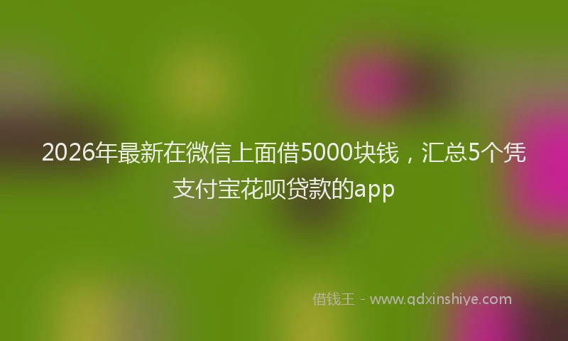 2026年最新在微信上面借5000块钱，汇总5个凭支付宝花呗贷款的app