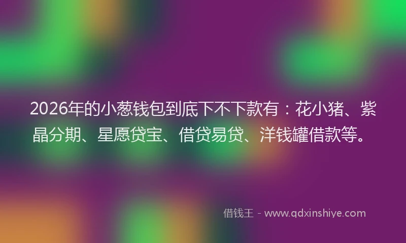 2026年的小葱钱包到底下不下款有：花小猪、紫晶分期、星愿贷宝、借贷易贷、洋钱罐借款等。