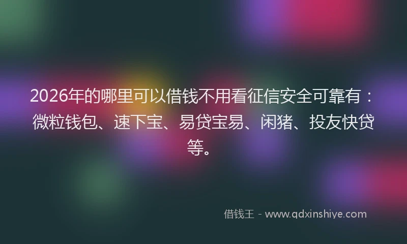 2026年的哪里可以借钱不用看征信安全可靠有:微粒钱包、速下宝、易贷宝易、闲猪、投友快贷等。