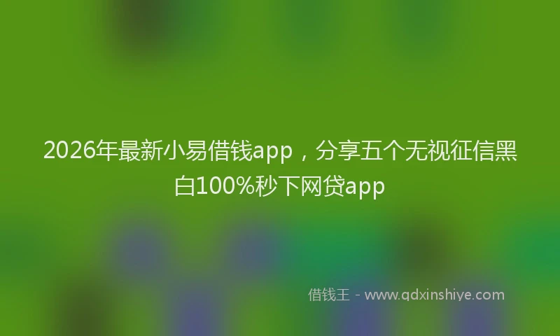 2026年最新小易借钱app，分享五个无视征信黑白100%秒下网贷app