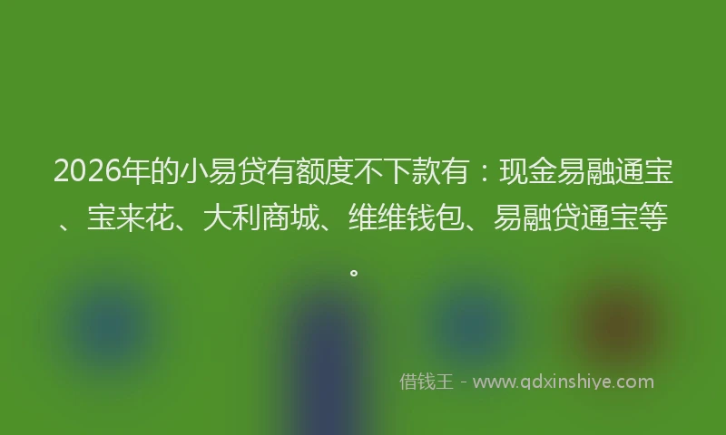 2026年的小易贷有额度不下款有：现金易融通宝、宝来花、大利商城、维维钱包、易融贷通宝等。