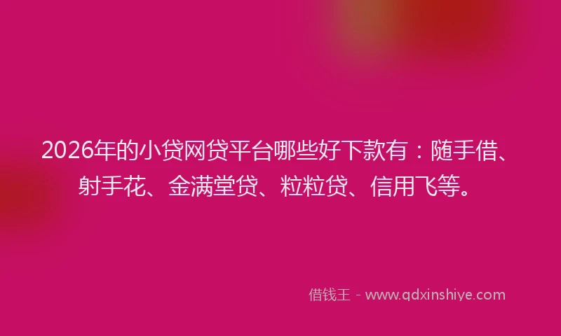 2026年的小贷网贷平台哪些好下款有：随手借、射手花、金满堂贷、粒粒贷、信用飞等。