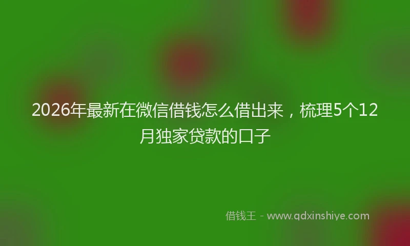 2026年最新在微信借钱怎么借出来，梳理5个12月独家贷款的口子