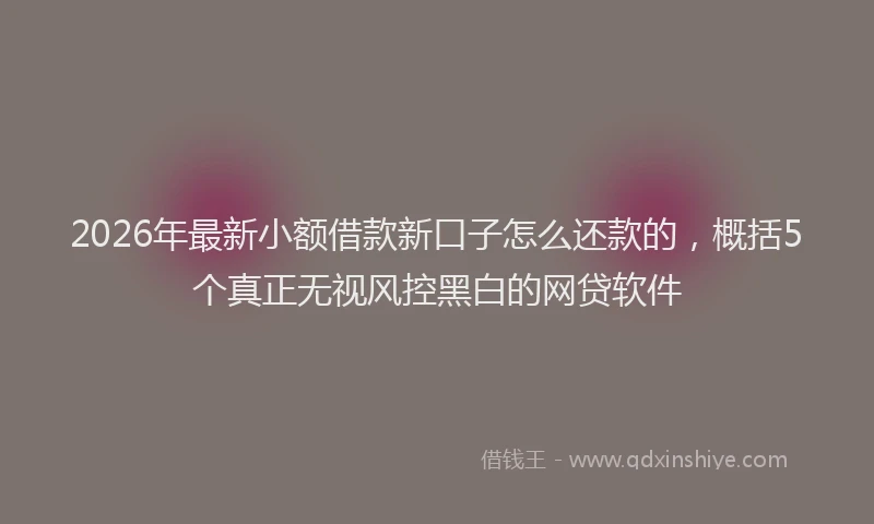 2026年最新小额借款新口子怎么还款的，概括5个真正无视风控黑白的网贷软件