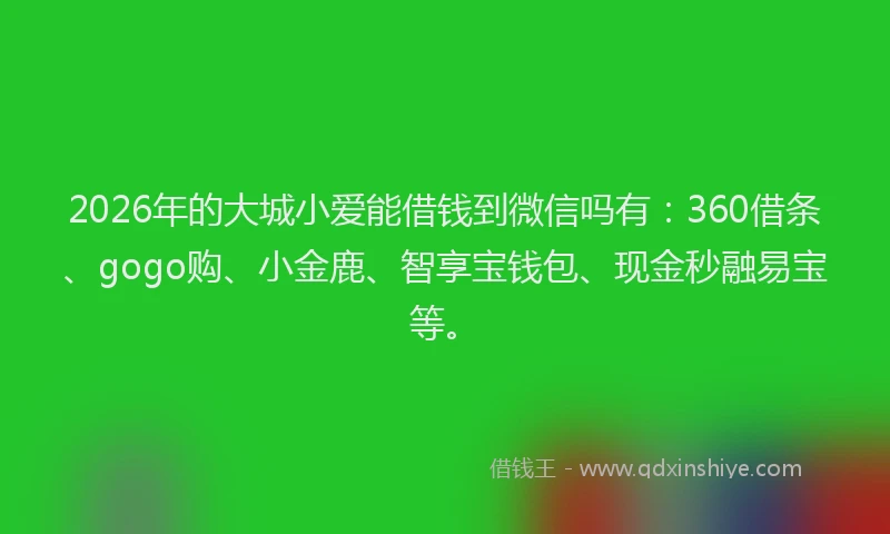 2026年的大城小爱能借钱到微信吗有：360借条、gogo购、小金鹿、智享宝钱包、现金秒融易宝等。