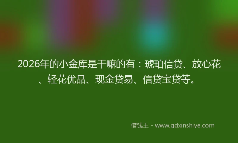 2026年的小金库是干嘛的有：琥珀信贷、放心花、轻花优品、现金贷易、信贷宝贷等。