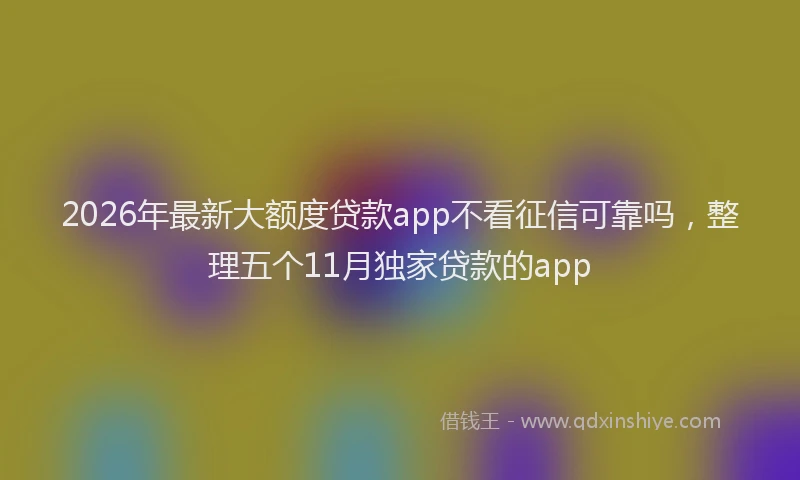 2026年最新大额度贷款app不看征信可靠吗，整理五个11月独家贷款的app