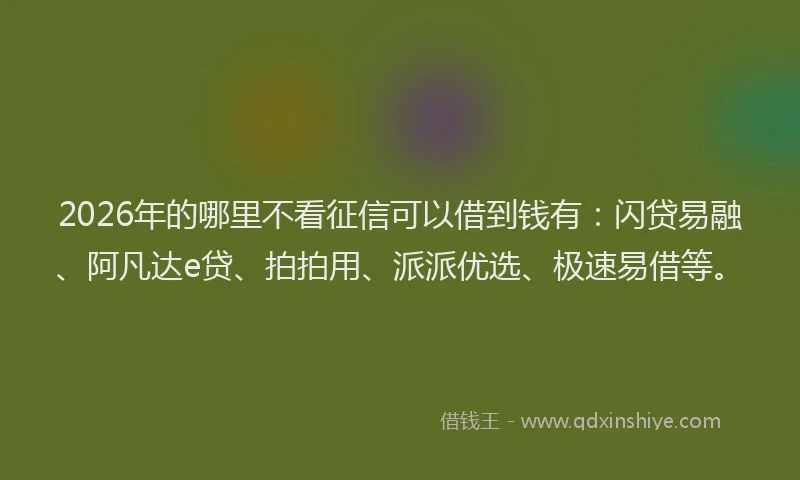 2026年的哪里不看征信可以借到钱有:闪贷易融、阿凡达e贷、拍拍用、派派优选、极速易借等。