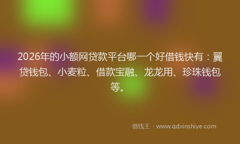 2026年的小额网贷款平台哪一个好借钱快有：翼贷钱包、小麦粒、借款宝融、龙龙用、珍珠钱包等。