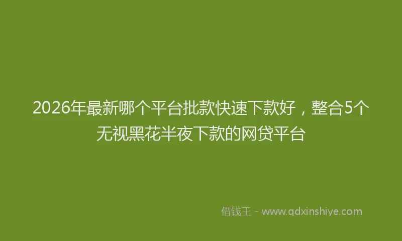 2026年最新哪个平台批款快速下款好，整合5个无视黑花半夜下款的网贷平台
