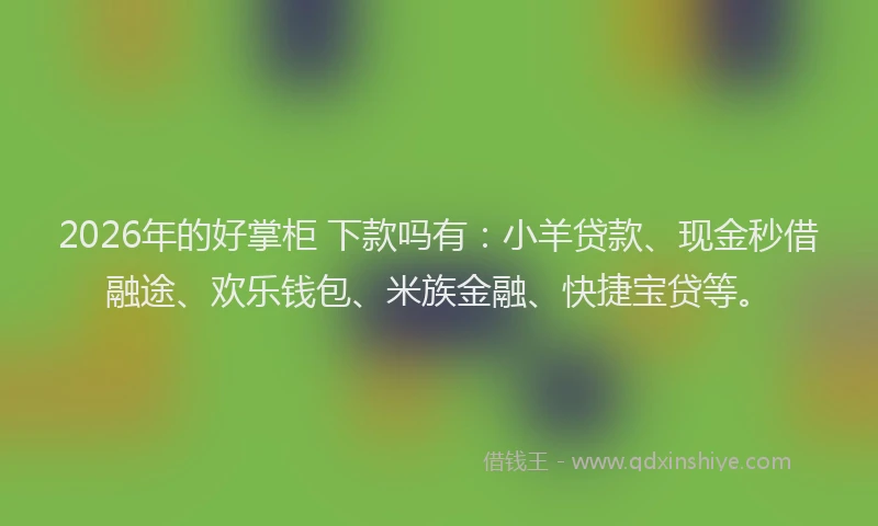 2026年的好掌柜 下款吗有：小羊贷款、现金秒借融途、欢乐钱包、米族金融、快捷宝贷等。