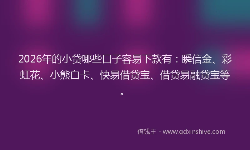 2026年的小贷哪些口子容易下款有：瞬信金、彩虹花、小熊白卡、快易借贷宝、借贷易融贷宝等。