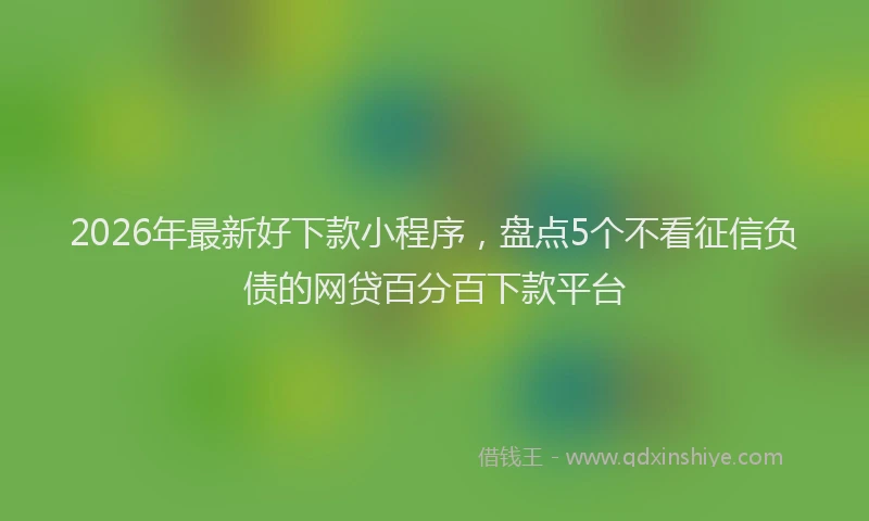 2026年最新好下款小程序，盘点5个不看征信负债的网贷百分百下款平台