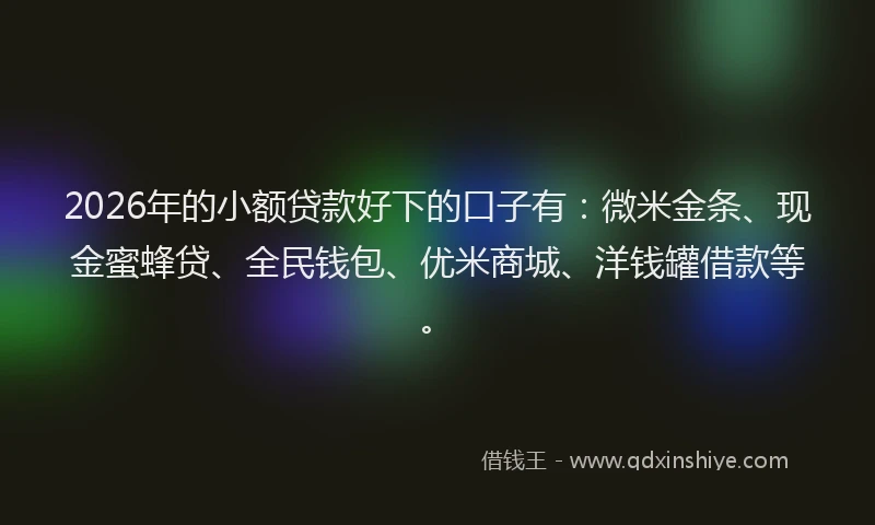 2026年的小额贷款好下的口子有：微米金条、现金蜜蜂贷、全民钱包、优米商城、洋钱罐借款等。