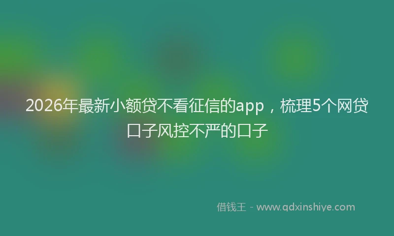 2026年最新小额贷不看征信的app，梳理5个网贷口子风控不严的口子