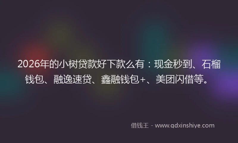 2026年的小树贷款好下款么有：现金秒到、石榴钱包、融逸速贷、鑫融钱包+、美团闪借等。