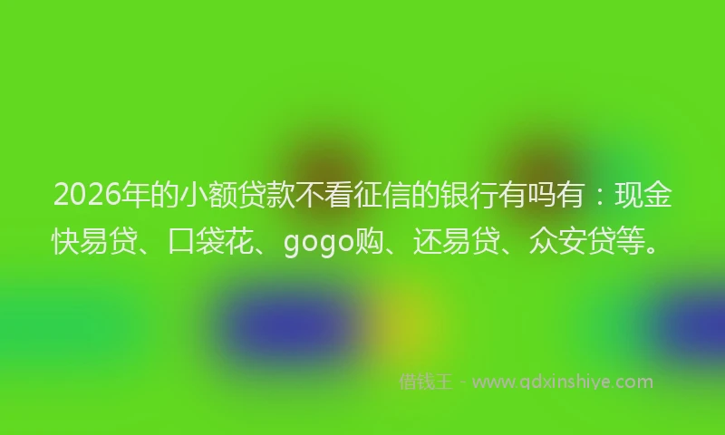 2026年的小额贷款不看征信的银行有吗有：现金快易贷、口袋花、gogo购、还易贷、众安贷等。