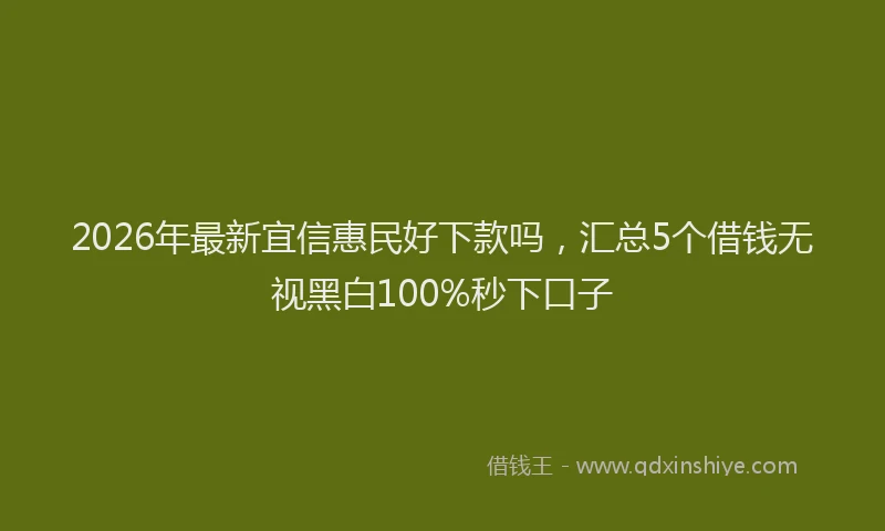 2026年最新宜信惠民好下款吗，汇总5个借钱无视黑白100%秒下口子
