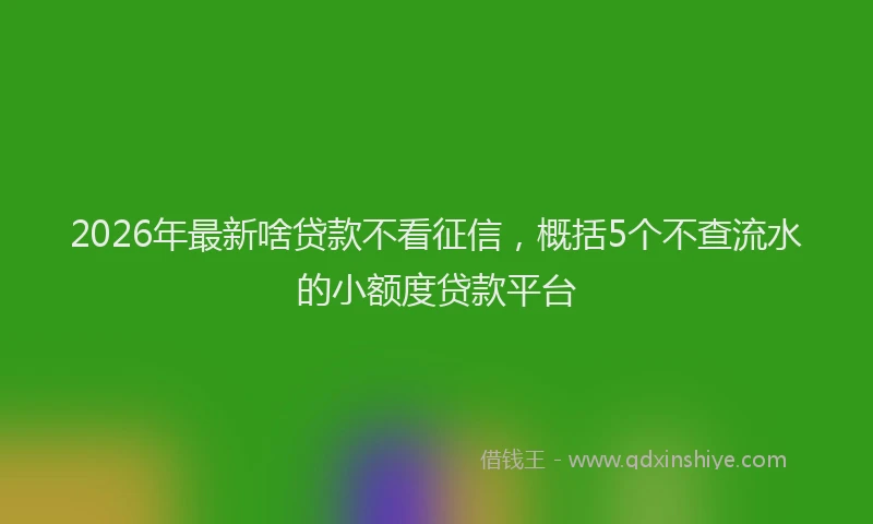 2026年最新啥贷款不看征信，概括5个不查流水的小额度贷款平台