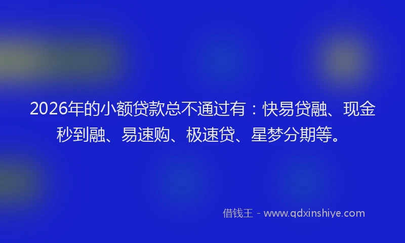 2026年的小额贷款总不通过有：快易贷融、现金秒到融、易速购、极速贷、星梦分期等。