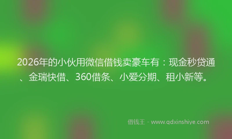 2026年的小伙用微信借钱卖豪车有：现金秒贷通、金瑞快借、360借条、小爱分期、租小新等。