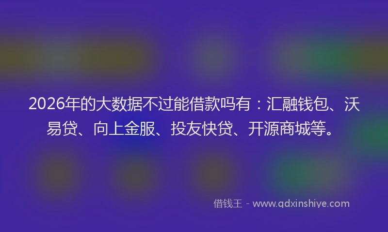 2026年的大数据不过能借款吗有：汇融钱包、沃易贷、向上金服、投友快贷、开源商城等。