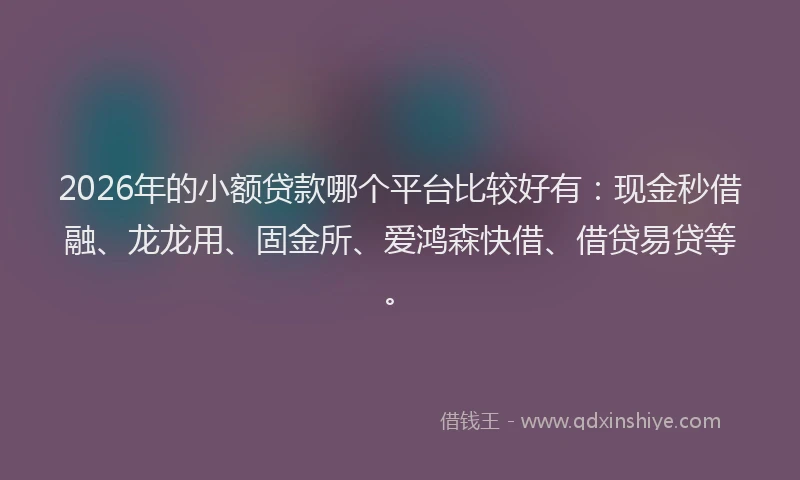 2026年的小额贷款哪个平台比较好有：现金秒借融、龙龙用、固金所、爱鸿森快借、借贷易贷等。