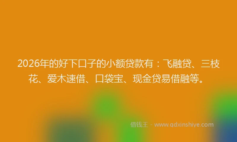 2026年的好下口子的小额贷款有：飞融贷、三枝花、爱木速借、口袋宝、现金贷易借融等。