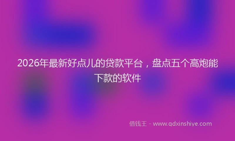 2026年最新好点儿的贷款平台，盘点五个高炮能下款的软件