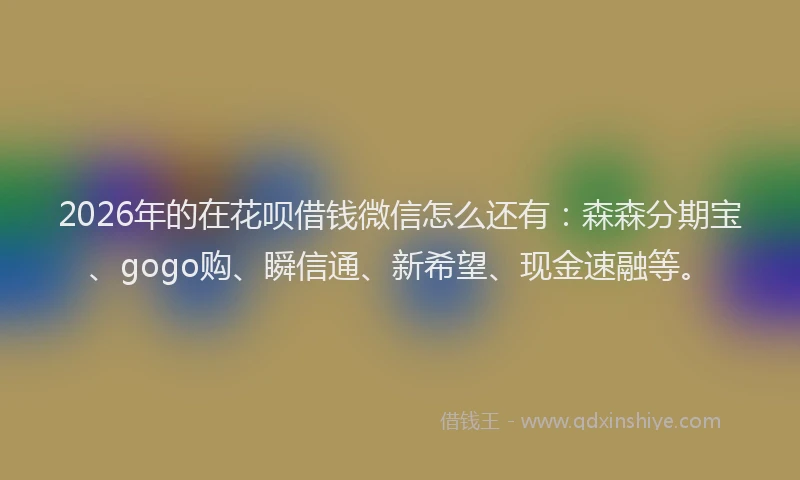 2026年的在花呗借钱微信怎么还有:森森分期宝、gogo购、瞬信通、新希望、现金速融等。
