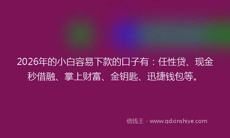 2026年的小白容易下款的口子有：任性贷、现金秒借融、掌上财富、金钥匙、迅捷钱包等。