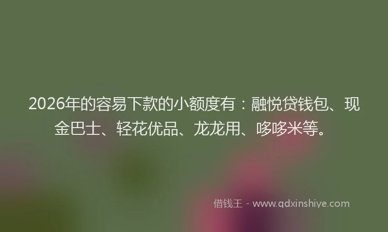 2026年的容易下款的小额度有：融悦贷钱包、现金巴士、轻花优品、龙龙用、哆哆米等。