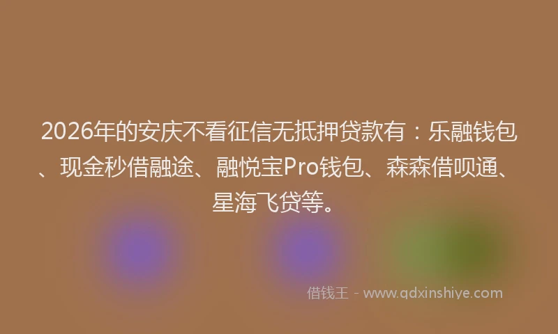 2026年的安庆不看征信无抵押贷款有：乐融钱包、现金秒借融途、融悦宝Pro钱包、森森借呗通、星海飞贷等。