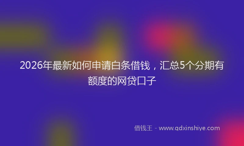 2026年最新如何申请白条借钱，汇总5个分期有额度的网贷口子