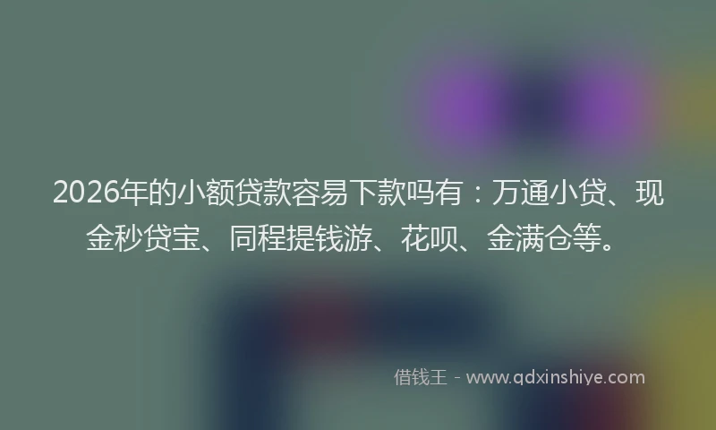 2026年的小额贷款容易下款吗有：万通小贷、现金秒贷宝、同程提钱游、花呗、金满仓等。