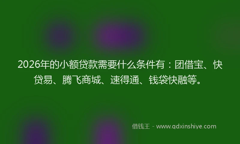 2026年的小额贷款需要什么条件有：团借宝、快贷易、腾飞商城、速得通、钱袋快融等。
