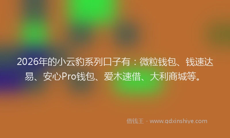 2026年的小云豹系列口子有：微粒钱包、钱速达易、安心Pro钱包、爱木速借、大利商城等。