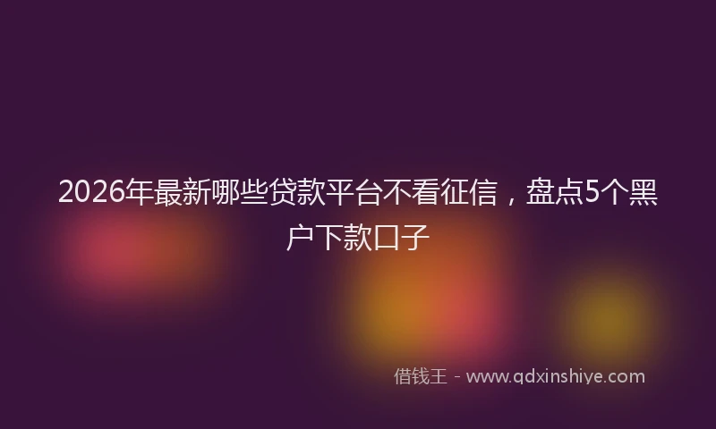 2026年最新哪些贷款平台不看征信,盘点5个黑户下款口子
