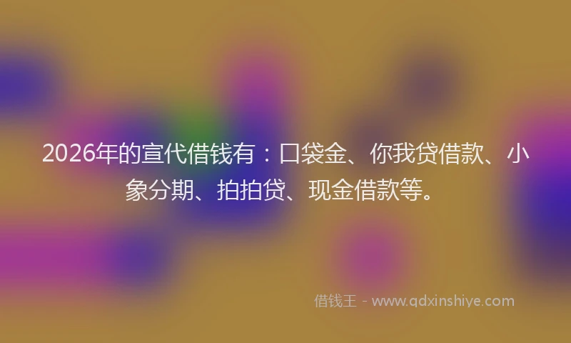 2026年的宣代借钱有：口袋金、你我贷借款、小象分期、拍拍贷、现金借款等。