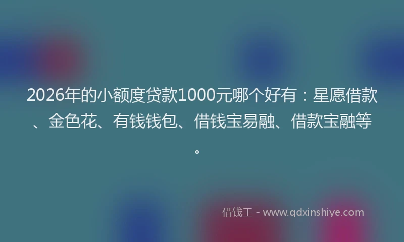 2026年的小额度贷款1000元哪个好有：星愿借款、金色花、有钱钱包、借钱宝易融、借款宝融等。