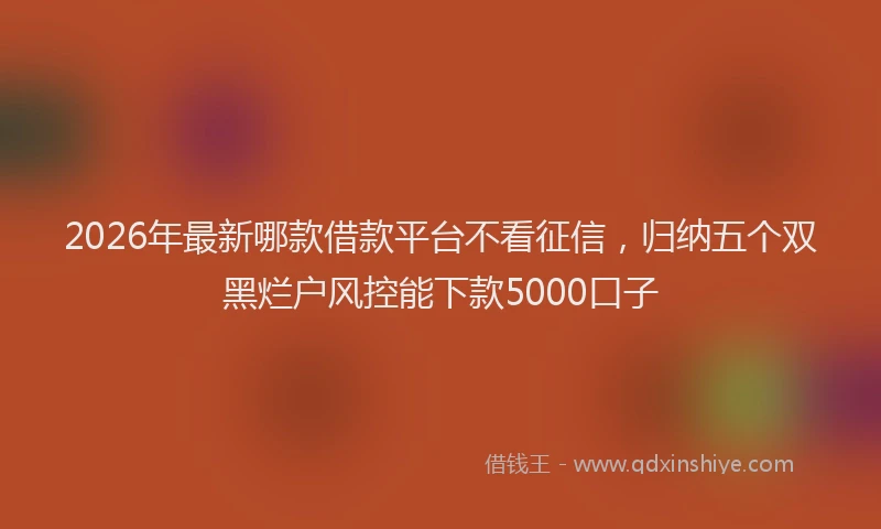 2026年最新哪款借款平台不看征信，归纳五个双黑烂户风控能下款5000口子