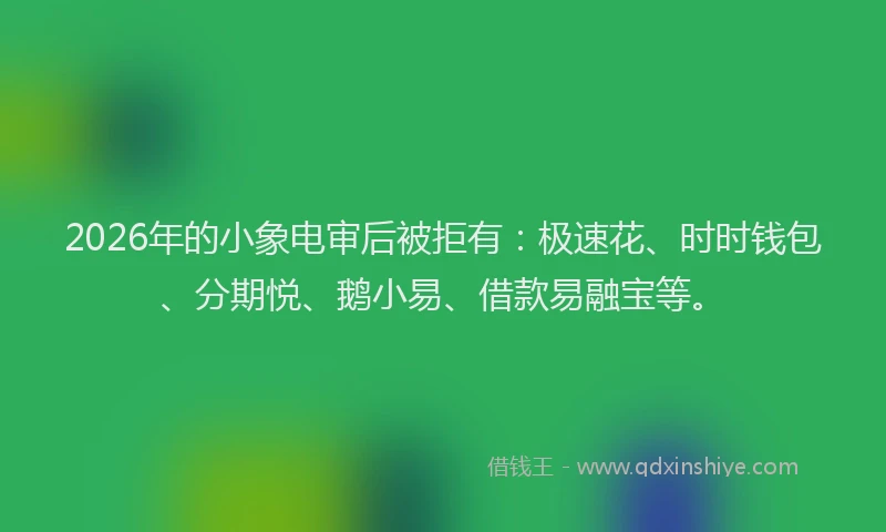 2026年的小象电审后被拒有：极速花、时时钱包、分期悦、鹅小易、借款易融宝等。