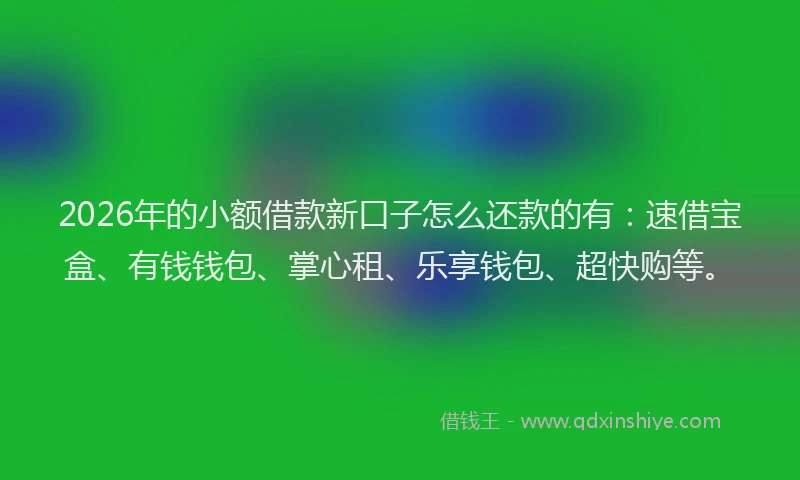 2026年的小额借款新口子怎么还款的有：速借宝盒、有钱钱包、掌心租、乐享钱包、超快购等。