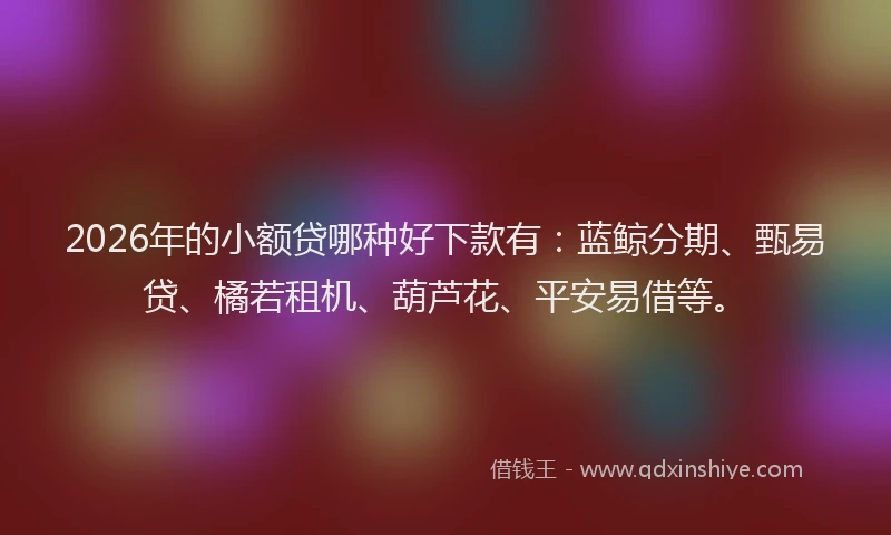 2026年的小额贷哪种好下款有：蓝鲸分期、甄易贷、橘若租机、葫芦花、平安易借等。