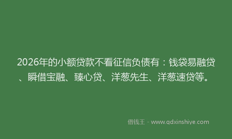 2026年的小额贷款不看征信负债有：钱袋易融贷、瞬借宝融、臻心贷、洋葱先生、洋葱速贷等。