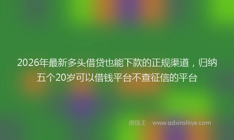 2026年最新多头借贷也能下款的正规渠道，归纳五个20岁可以借钱平台不查征信的平台