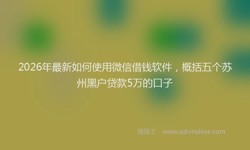 2026年最新如何使用微信借钱软件，概括五个苏州黑户贷款5万的口子