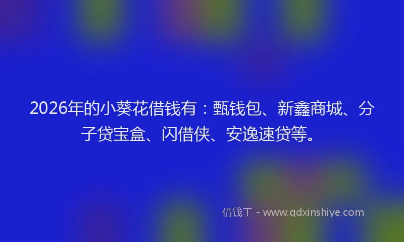 2026年的小葵花借钱有：甄钱包、新鑫商城、分子贷宝盒、闪借侠、安逸速贷等。