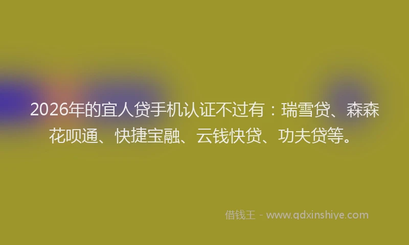 2026年的宜人贷手机认证不过有：瑞雪贷、森森花呗通、快捷宝融、云钱快贷、功夫贷等。
