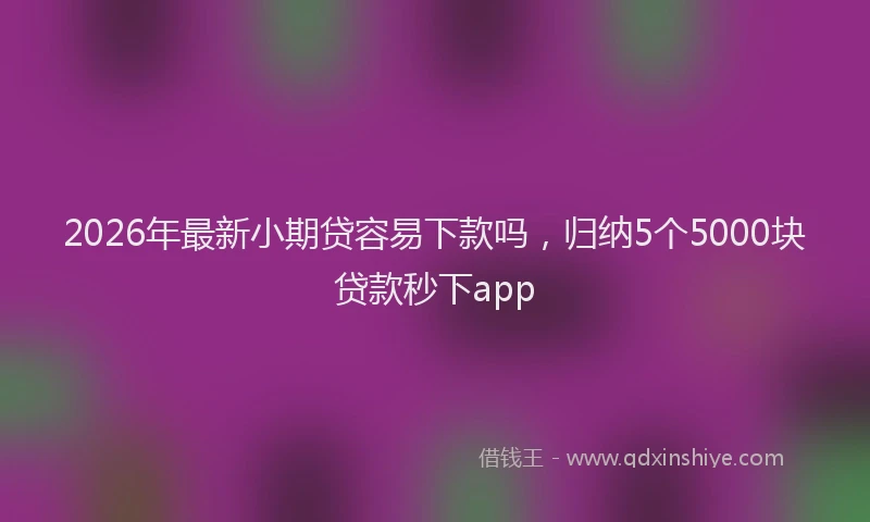 2026年最新小期贷容易下款吗，归纳5个5000块贷款秒下app